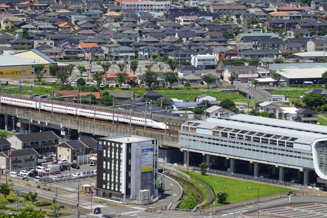 �V�����w����